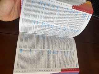 Diccionario Avanzado Primaria. Lengua española