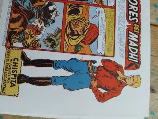 lote de 24 cómics chispita