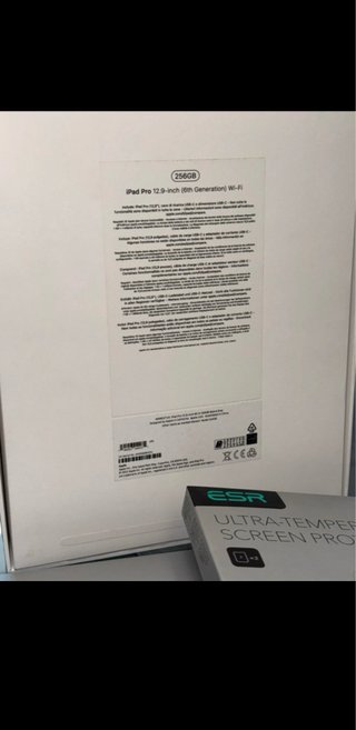 iPad Pro 12.9 256GB Gris
