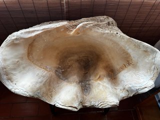 Mesa antigua FLABC
