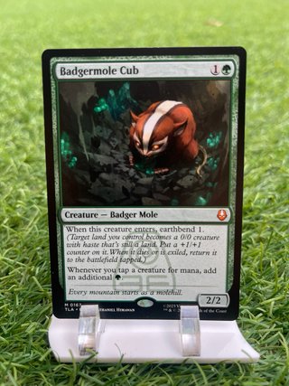 Play set Badgermole Cub - Magic The Gathering