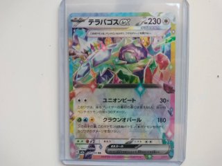 Pack Cartas Pokémon Japonesas