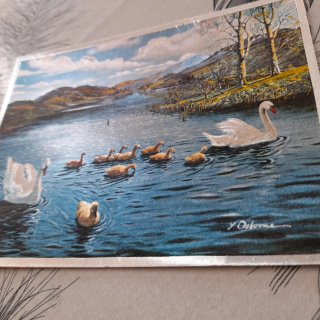 Lote de 2 Postales Vintage años 70 brillantes