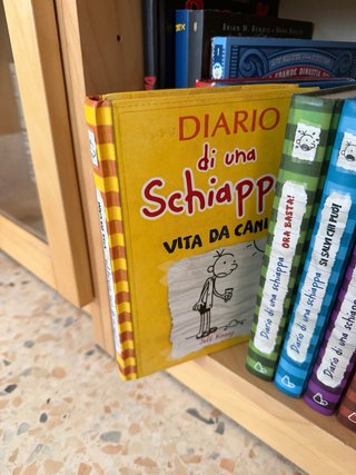 Lotto 12 libri “Diario di una schiappa”
