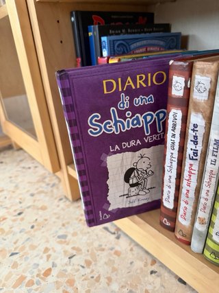 Lotto 12 libri “Diario di una schiappa”