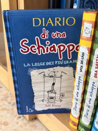 Lotto 12 libri “Diario di una schiappa”
