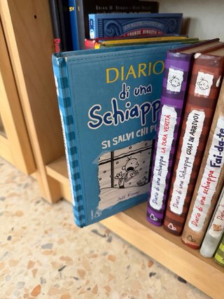 Lotto 12 libri “Diario di una schiappa”