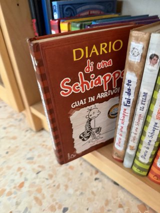 Lotto 12 libri “Diario di una schiappa”