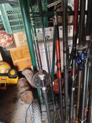 Cañas y carretes de pesca