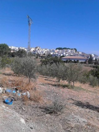 Alquilo parcelas