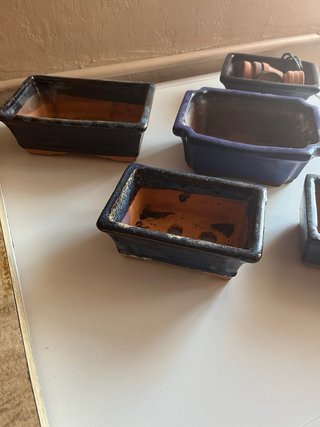 Set 5 Macetas Bonsái Cerámica