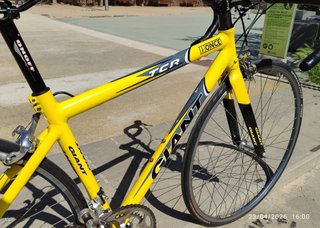Bicicleta Carretera Giant TCR ONCE