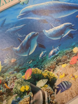 3 Puzzles 1000 Piezas Completos de 50 x 70 cm.