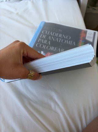 Libro de anatomía para colorear. Netter 2a edición