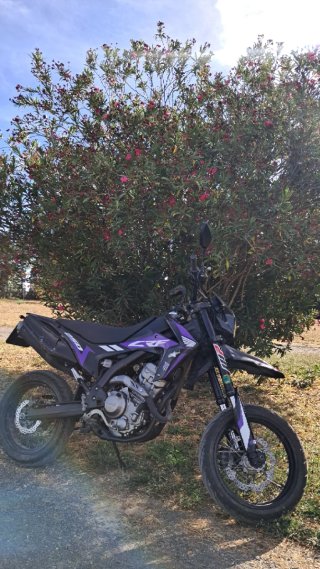 Honda CRF250 M Supermotard 2016