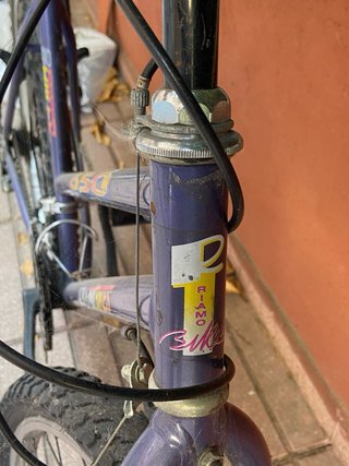 Bicicleta vintage ruedas pinchadas y solo un freno