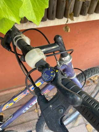 Bicicleta vintage ruedas pinchadas y solo un freno