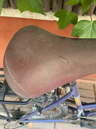 Bicicleta vintage ruedas pinchadas y solo un freno