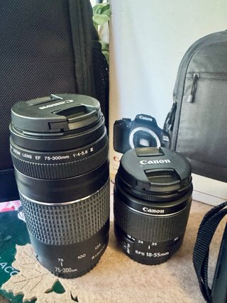 Canon EOS 2000D Kit Doble Lente