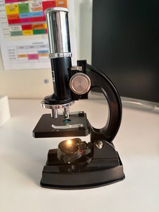 Microscopio Micro-Science con Proyección