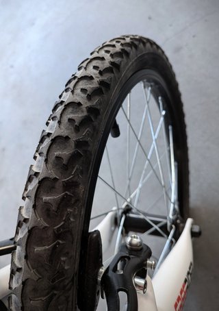 Bicicleta 20 pulgadas Freerider