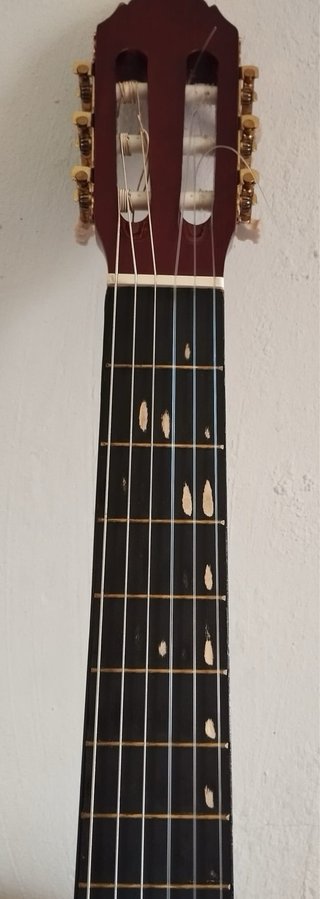 Guitarra Clásica + Funda