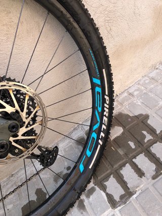 Specialized Turbo Levo SL Carbon Expert