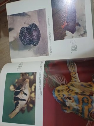 Lote libros