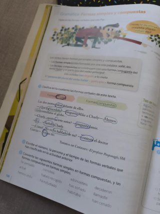 Lengua 4 Primaria, 3 trimestres