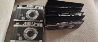 Lote 2 álbumes fotos vintage
