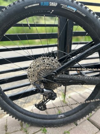 Marin Rift Zone 2