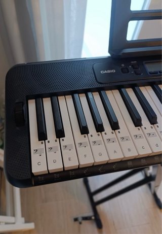 Teclado Casiotone CT-S300 con soporte