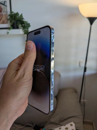 iPhone 14 Pro Max 256GB Plata