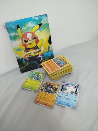 Álbum y cartas Pokémon