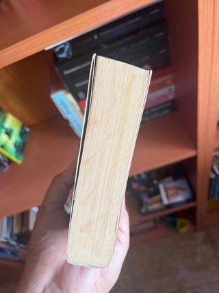 Libro Antes de diciembre