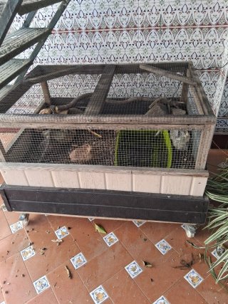 Terrario para tortuga