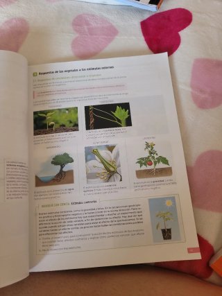 Biología, Geología y Ciencias Ambientales. 1 Ba...