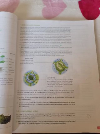 Biología, Geología y Ciencias Ambientales. 1 Ba...