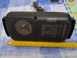 Altavoces bandeja coche