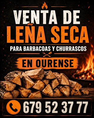 Leña Seca para Barbacoas Ourense