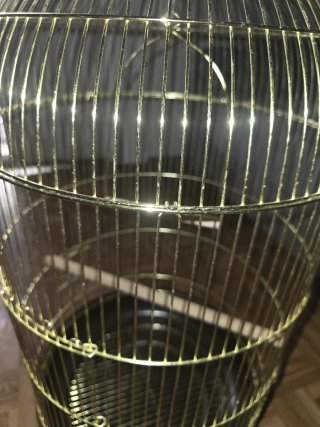 Jaula para pájaros dorada