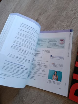 Pack 2 libros Lengua Castellana y Literatura Bachi