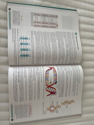 Biología 2º Bachillerato. Libro del estudiante....