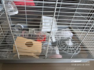 Jaula para hámster con accesorios