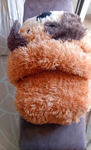 Calienta pies peluche perro