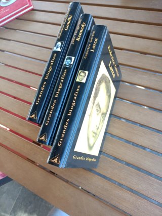 Lote libros, grandes biografías