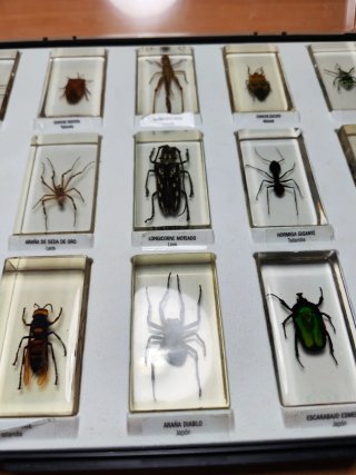Colección National Geographic