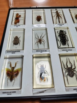 Colección National Geographic