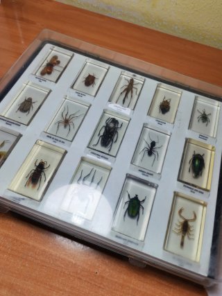 Colección National Geographic