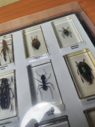 Colección National Geographic